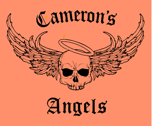 5th Annual Cameron Clark Memorial Run | Elm Grove Eagles 1 5th Annual Cameron Clark Memorial Run | Elm Grove Eagles