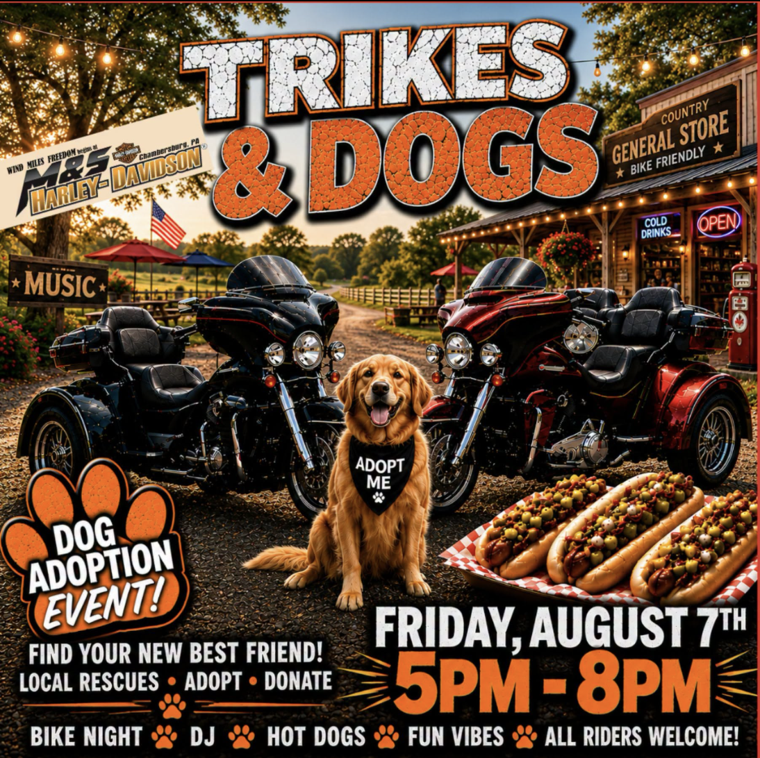 M & S Harley-Davidson Trikes & Dogs 1 M & S Harley-Davidson Trikes & Dogs